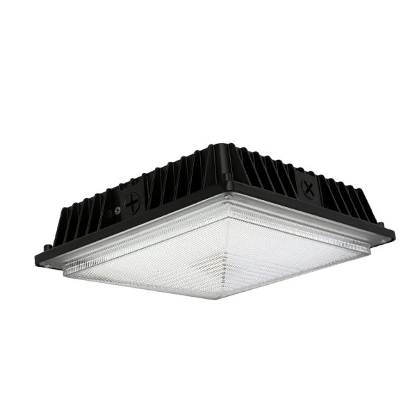 LED Canopy Light